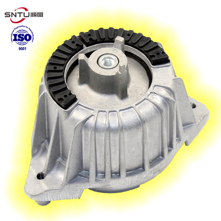 nhà máy xuất khẩu Phụ tùng cho nhà sản xuất khuôn cao su khung gầm E-CLASS W212 lắp động cơ 204 240 02 17 cho Mercedes-Benz